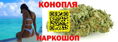 гидропоника Заволжье