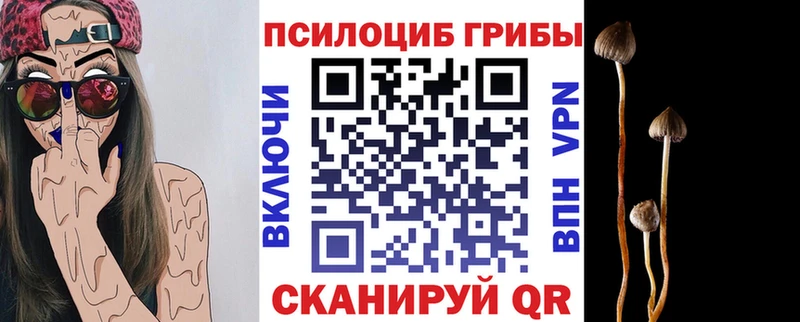Галлюциногенные грибы GOLDEN TEACHER  Ульяновск 