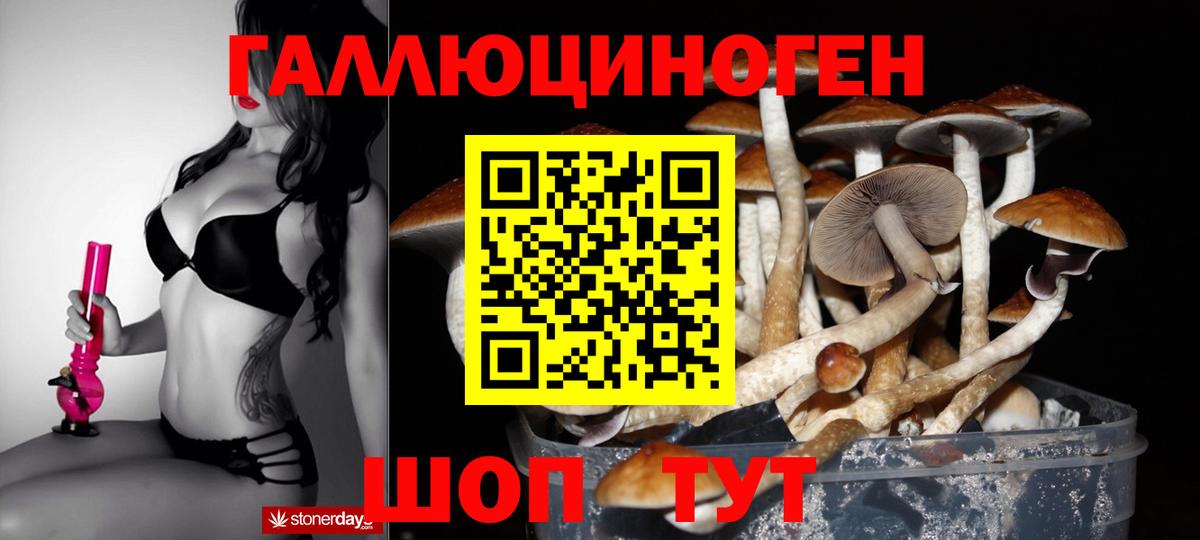Галлюциногенные грибы Psilocybine cubensis  Вход с VPN  Псилоцибиновые грибы мухоморы  Ульяновск 